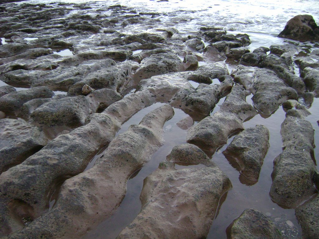 Rocas erosionadas de la playa. by Guido Enoan