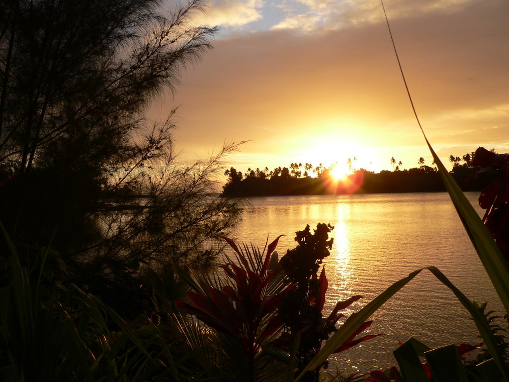 Sun rise from Wind Cottage by treetop