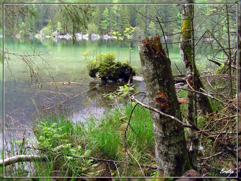 Ramsau bei Berchtesgaden, Germany by BrAlex71