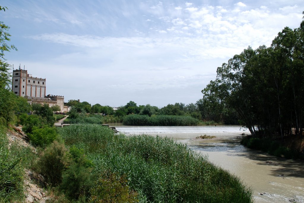 Río Genil-azud y electroharinera (julio 2009) by aytopalmadelrio_fede…