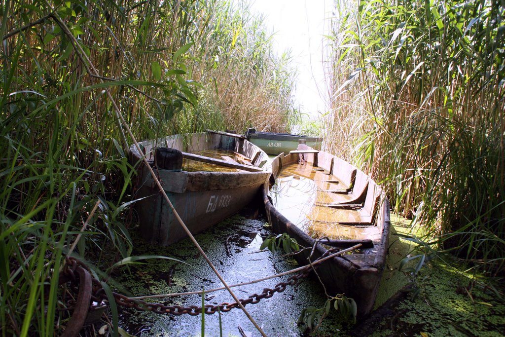 Fishing Boats on the River of Yaselda by Victor Radivinovski