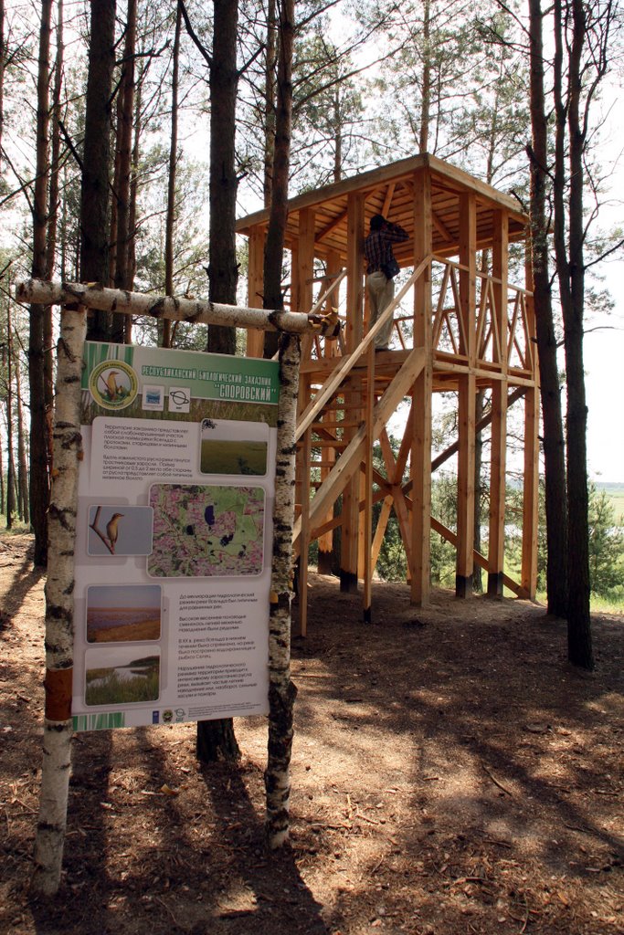 Observation Tower of the Ecological Path by Victor Radivinovski