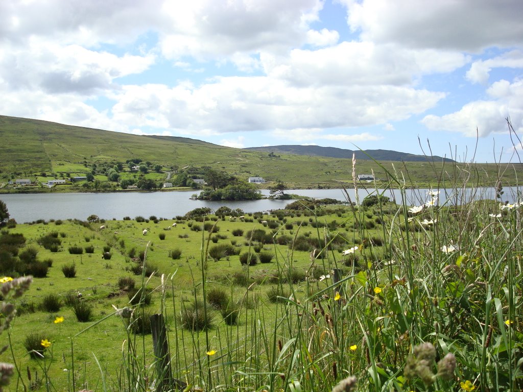 Connemara: A Lake Island near Maam Cross by Hazel Coetzee