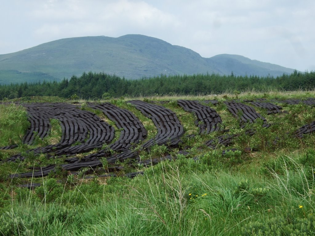 Turf laid out to dry by amblincork