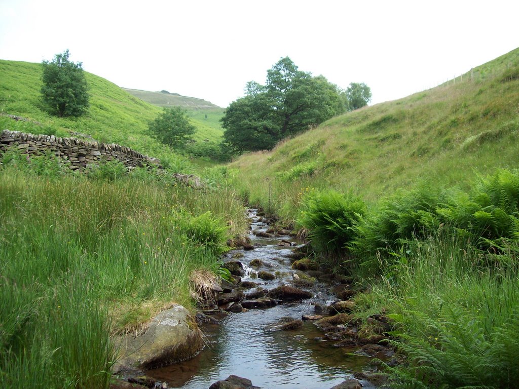 Goyt Valley by MJH18