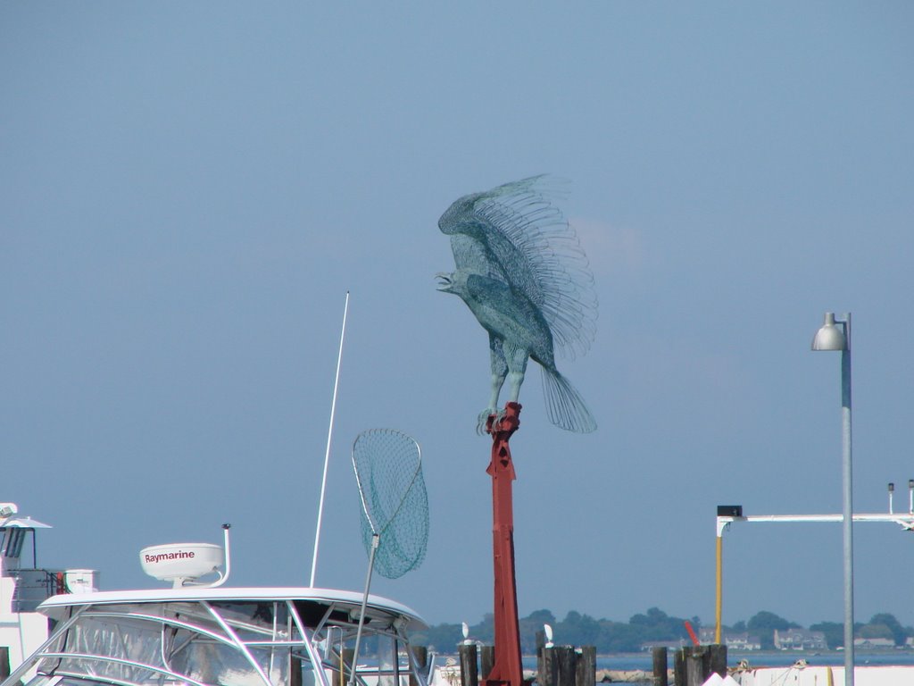 From Shelter Island Ferry by PierrefromBayRidge