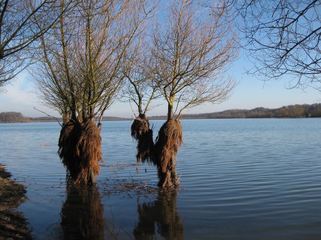 Lac de Michelbach by Max Brocel