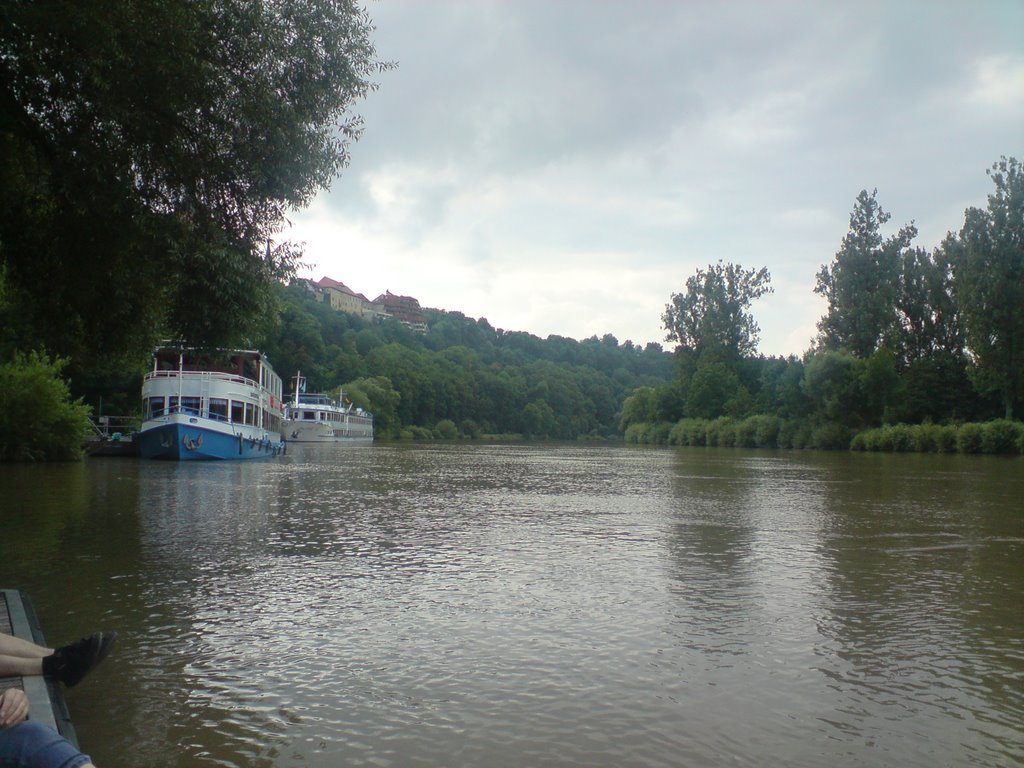 Bad Wimpfen Neckar 2009 by daff sky