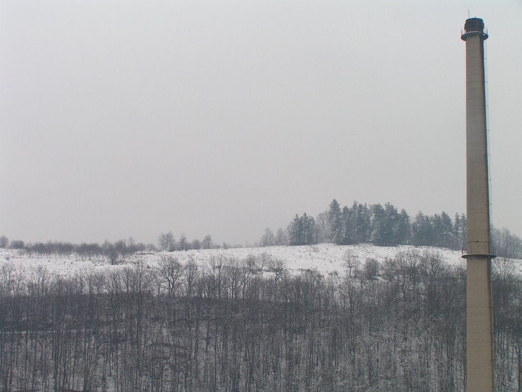 Palauzovo, Gabrovo by Tsonev