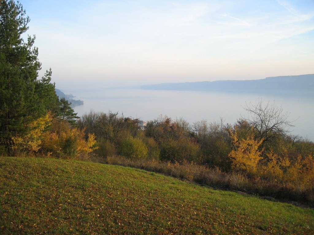 Herbststimmung am Bodensee by jeffrey74