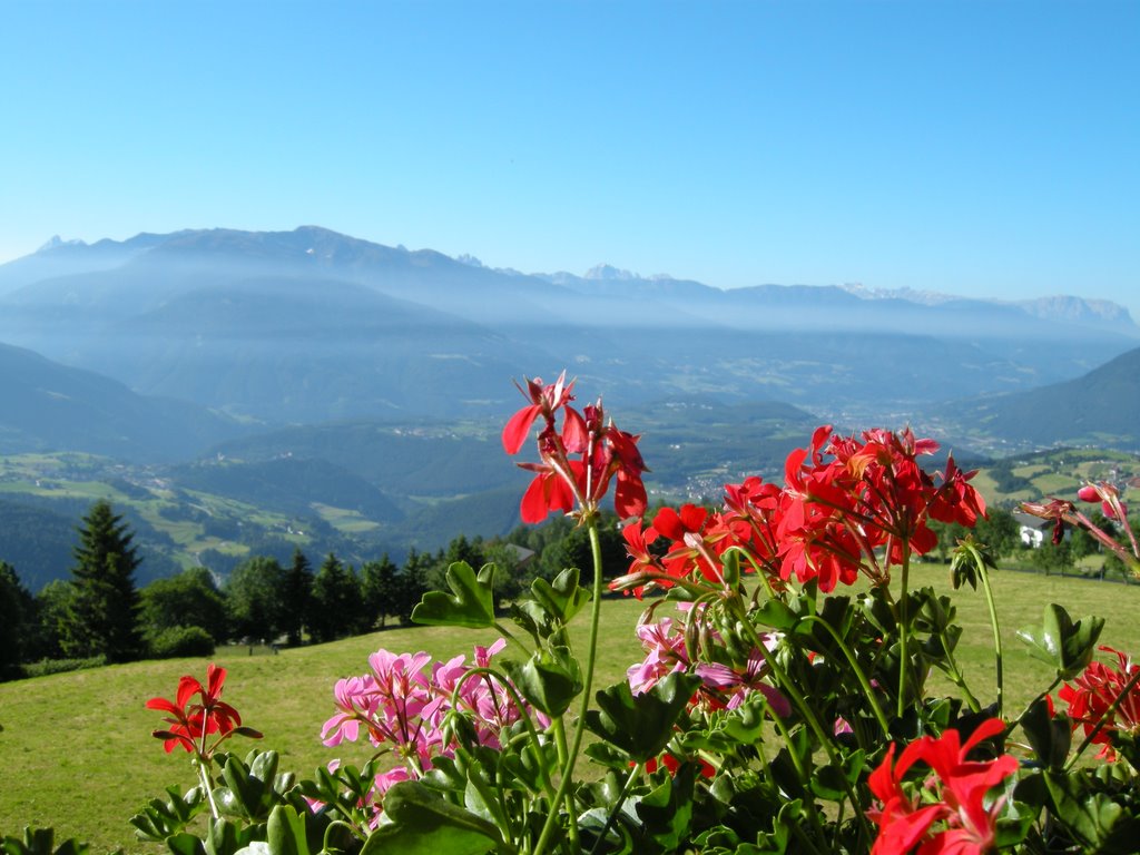 Alpenhof by Domenico Marchi