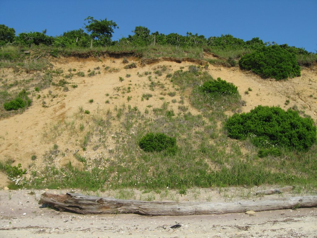 Girl Scout Camp Bluffs by Chris Sanfino