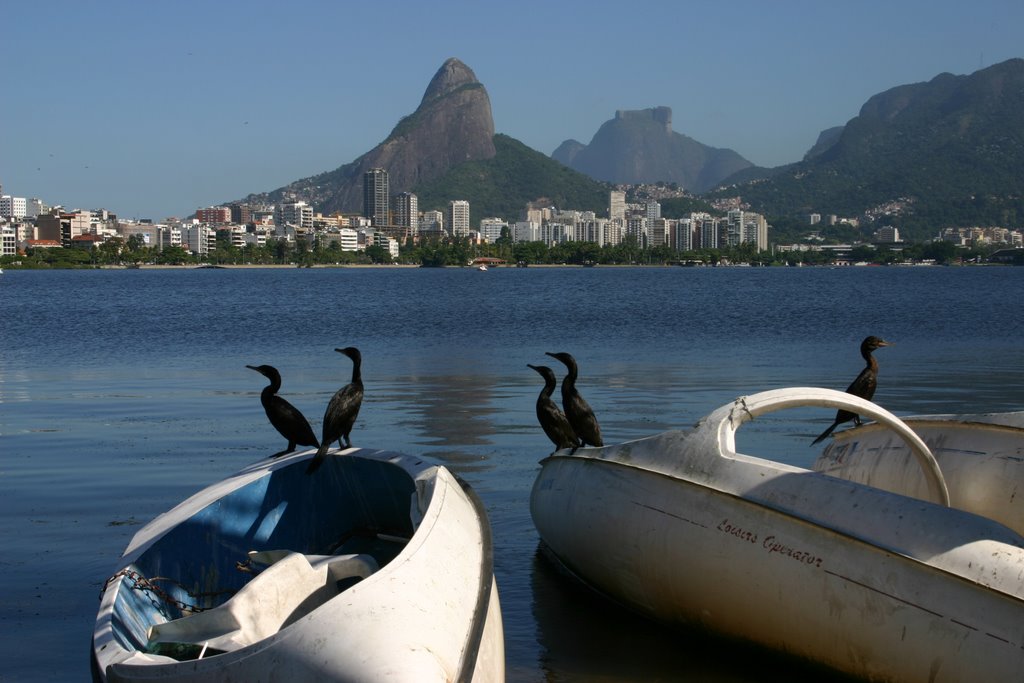 Biguás - lagoa rodrigo de freitas by Cassio Casagrande