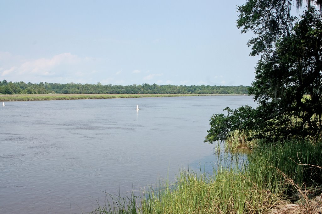 Ashley River behind Drayton Hall near Charleston, S.C. by Chad Laytham