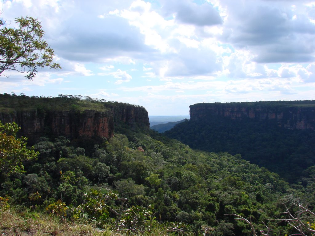 Trilha do Paredão - Chapada dos Guimarães by claudio fim