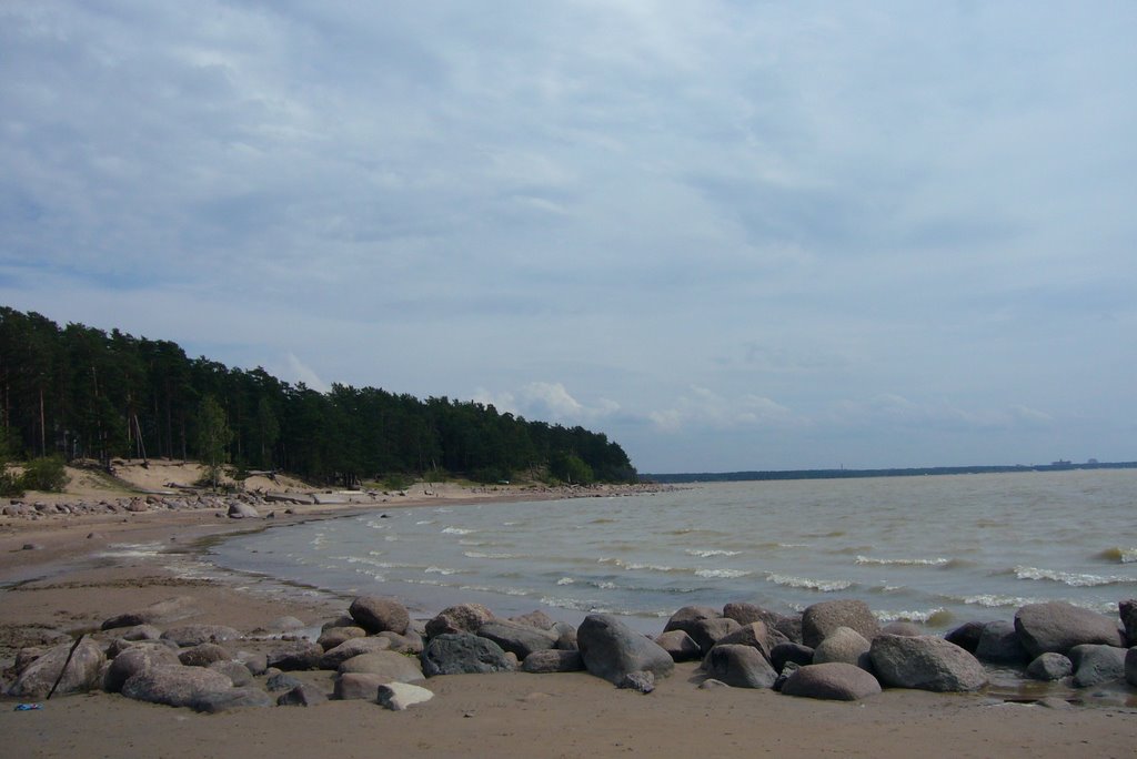 Берег, Финский залив Репино лето 2007 shore near Repino by punegov