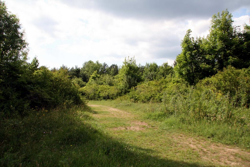 Fussweg beim Planetarium by Samuel Fausch