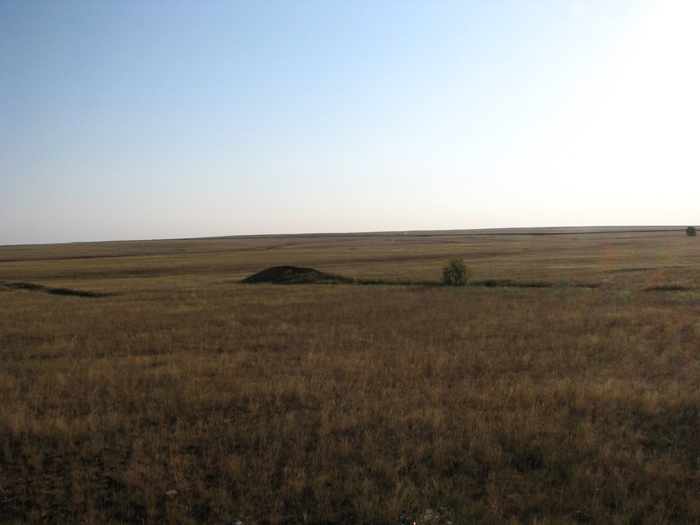 Yasnensky District, Orenburg Oblast, Russia by Badger-16