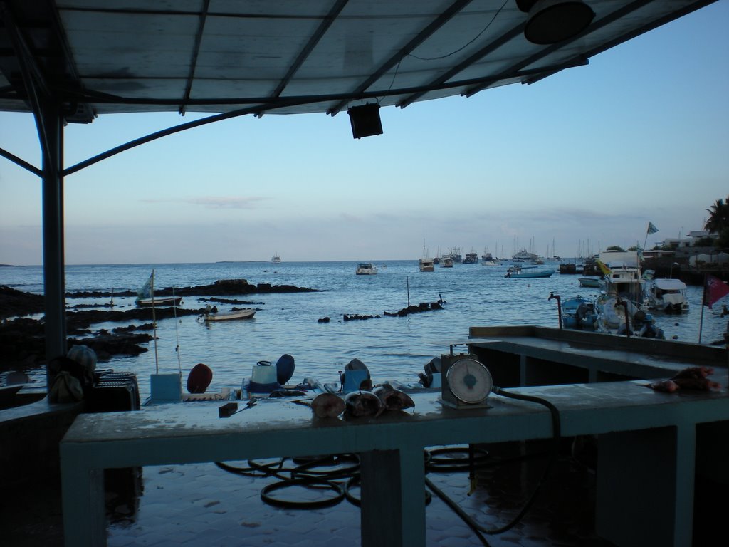 Barrio El Edén, Puerto Ayora, Ecuador by laura_fornasier