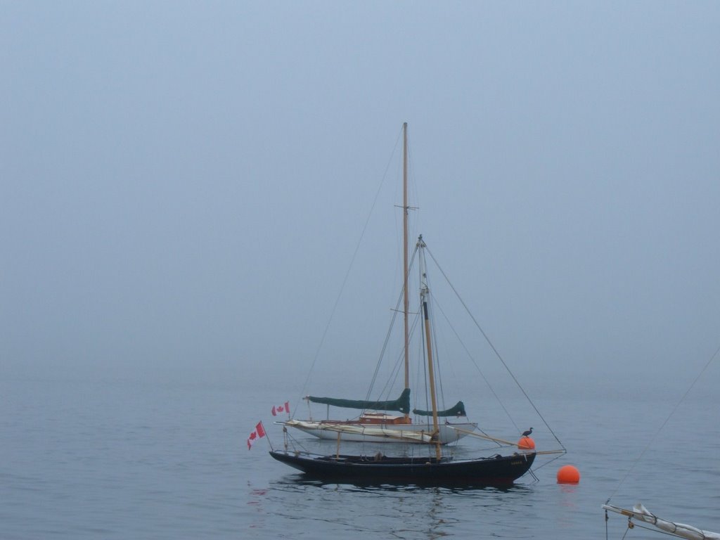 Halifax Harbour - Foggy Day by mappyb