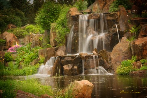 Les chutes au Jardin Botanique by Studio Mario