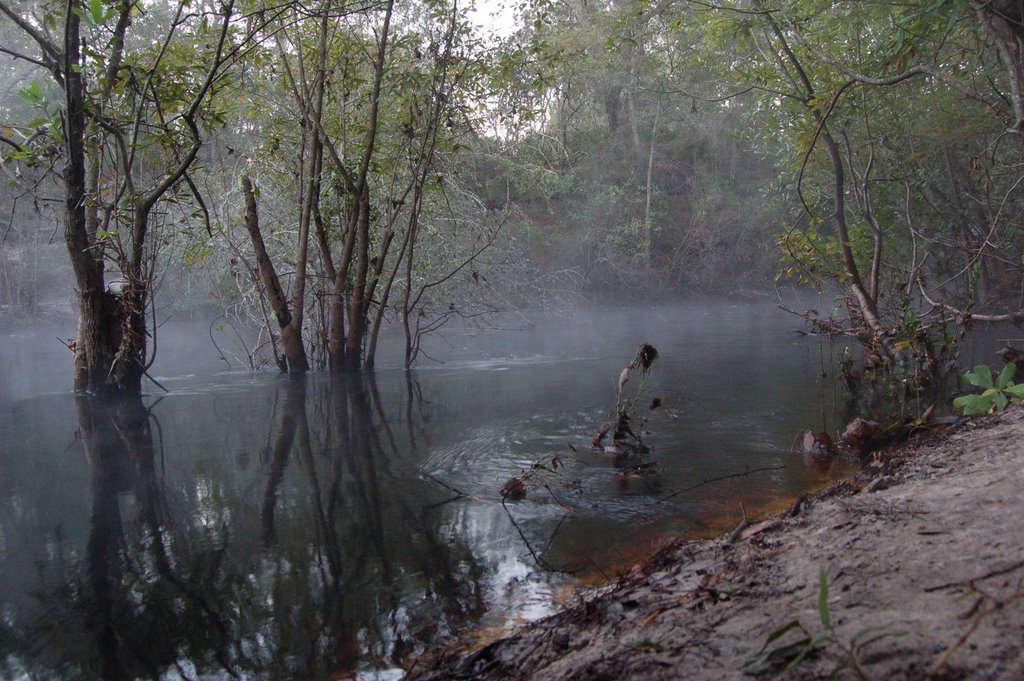 St. Mary's River on the Georgia/Florida Border by mappyb