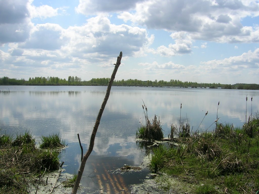 Lukhovitsky District, Moscow Oblast, Russia by mironov dmitry