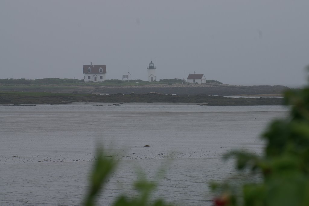 Goat Island Light by scsanford