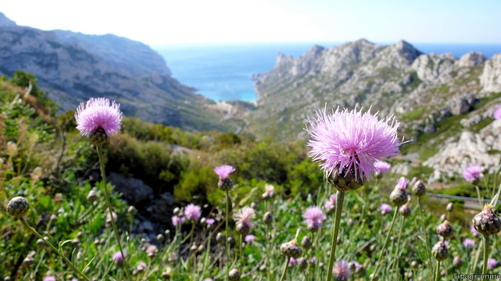 Les hauts des calaques de Sormiou by Titagramme