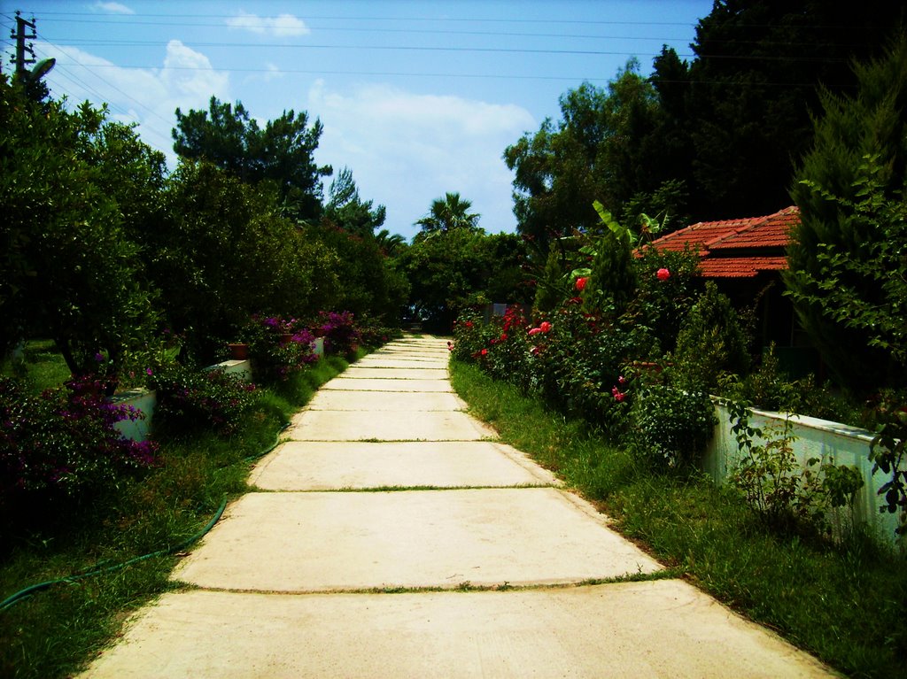 Taş pansiyon - www.tasturizmmazi.com by M.Yasin Taş - taştur…