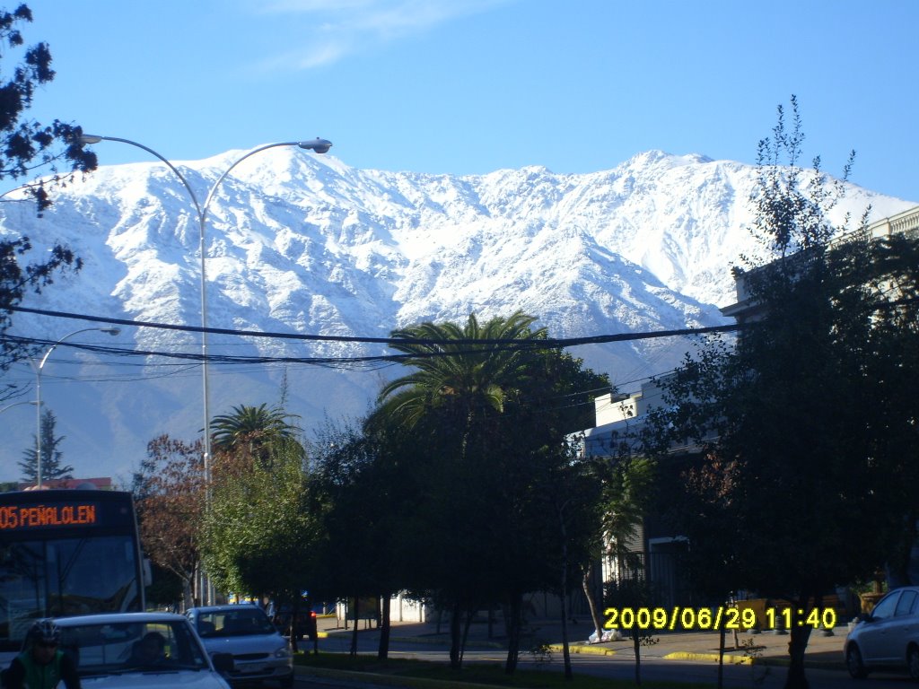 Desde plaza ñuñoa by Dirce Aguilar