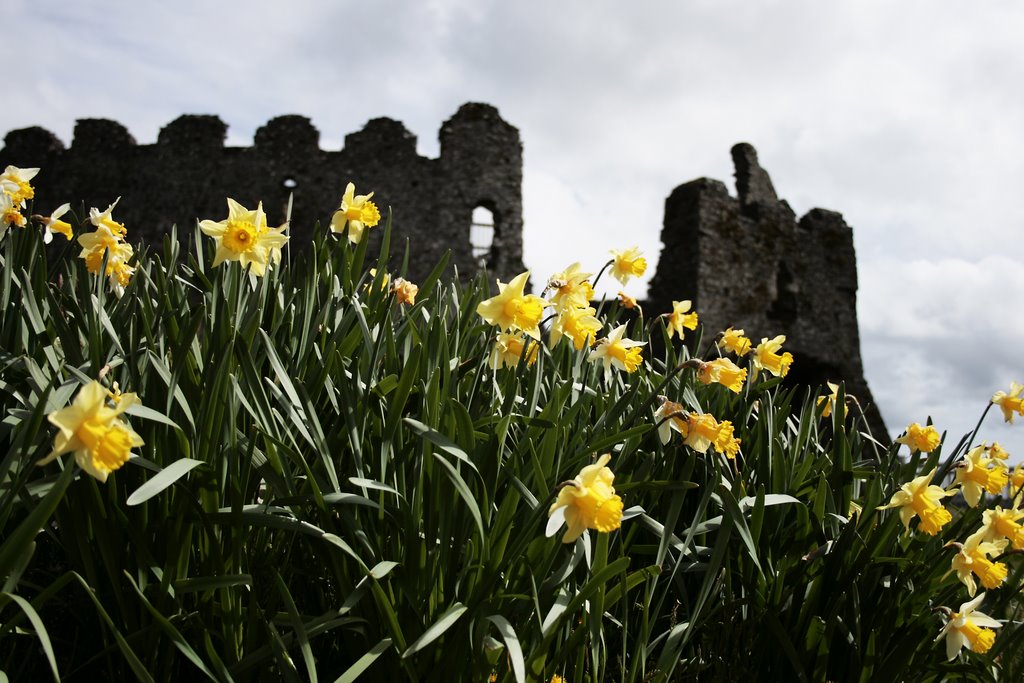 Restormel Castle by turpie