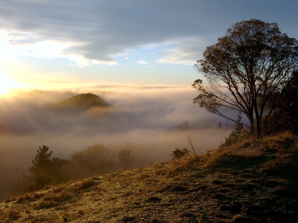 Virginia Rd Early Morning by buzele