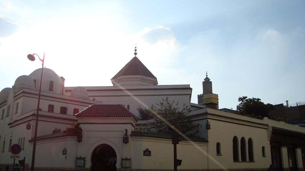 Paris's Mosque by Bierophile