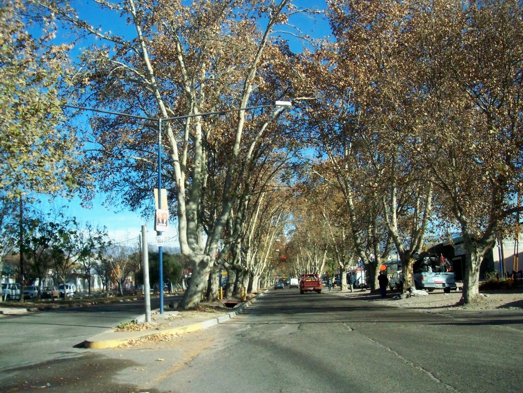 Carril Sarmiento - Godoy Cruz by Jacinta Di Azcurra