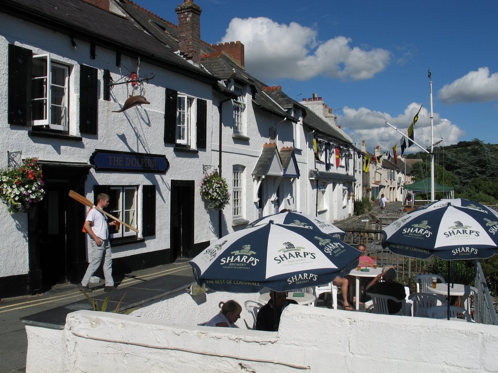 The Dolphin, Newton Ferrers by Blauauge