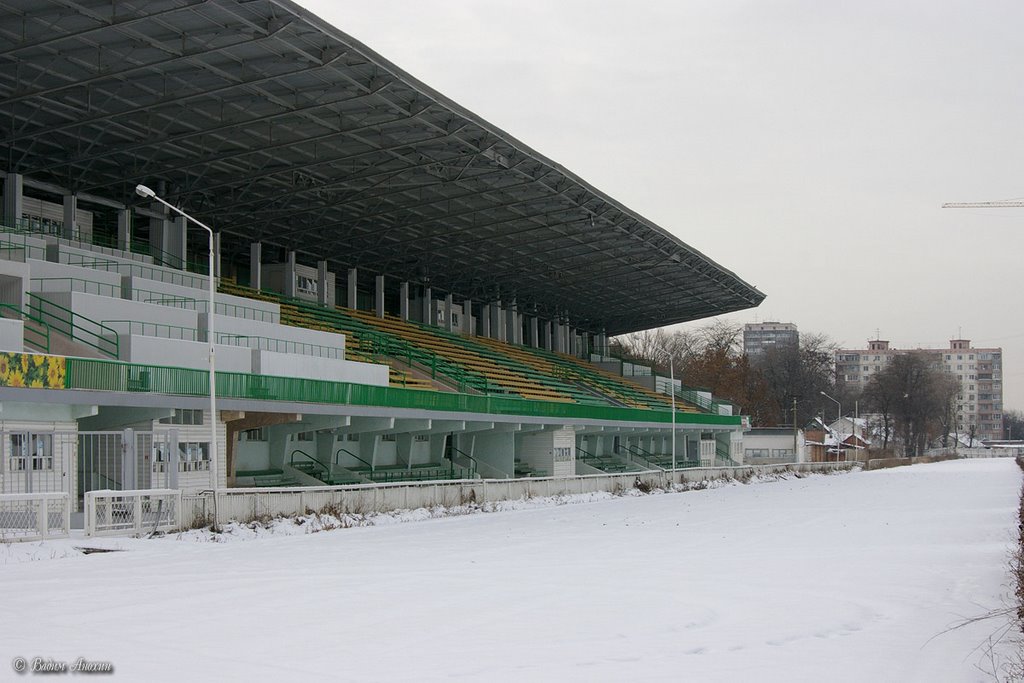 On the Rostov's hippodrome by Vadim Anokhin