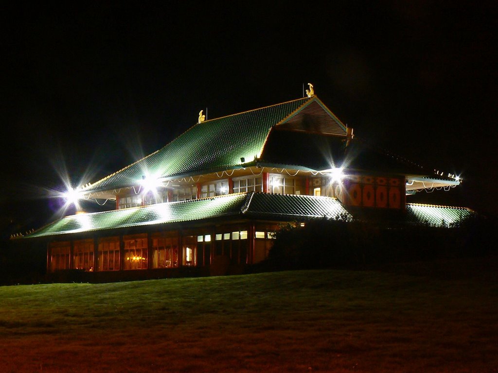 Pagoda Palace, Peatmoor, Swindon Oct 2007 renamed ard reopened 2010 as The Oriental Buffet by Brian B16