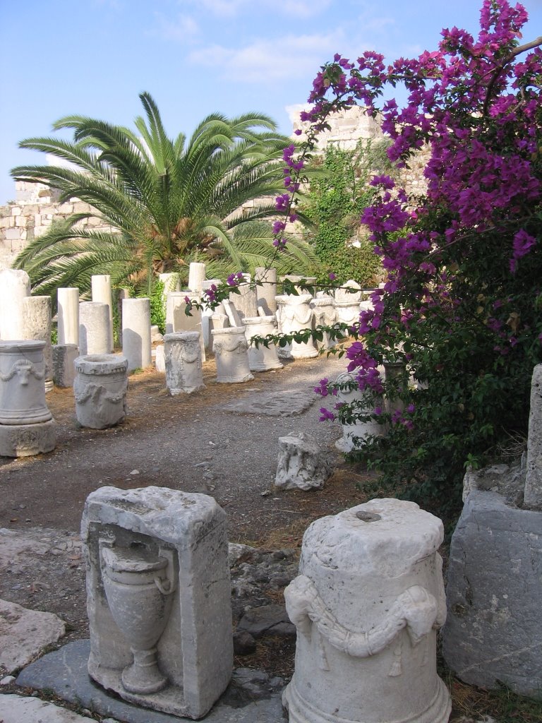 Town of Kos: Inside the Fortress by tomasajana