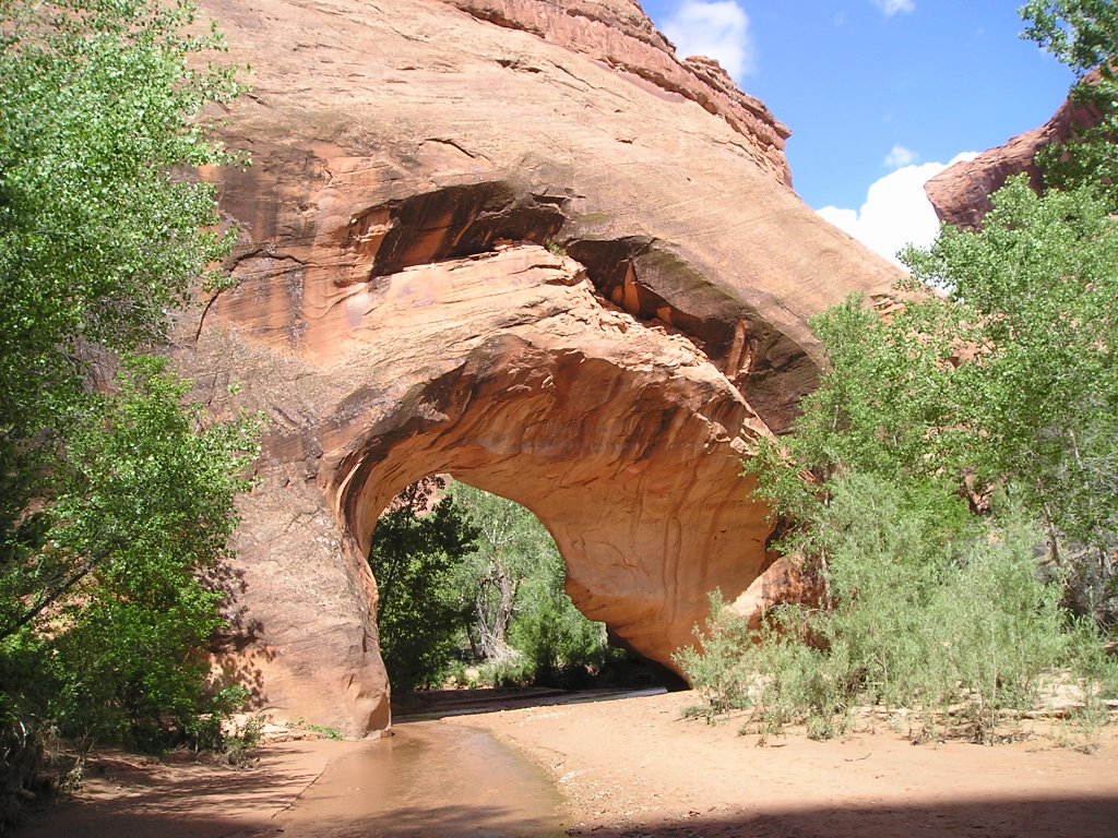 Coyote Natural Bridge by Gary Robertson