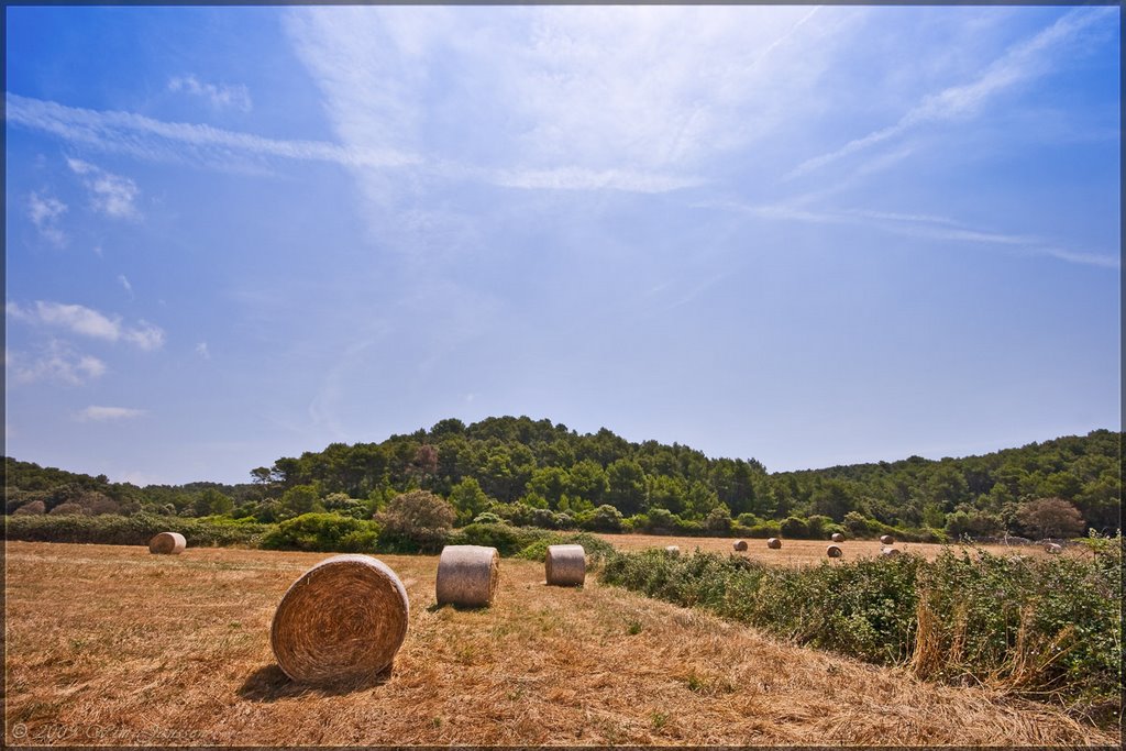 Menorca, Spain by Green Knee