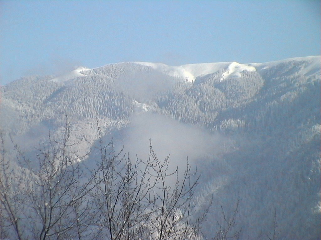 Румыния, горнолыжный курорт Предял, вид из окна отеля "Розмарин" 2006.01.07 by Дмитрий  Зимников