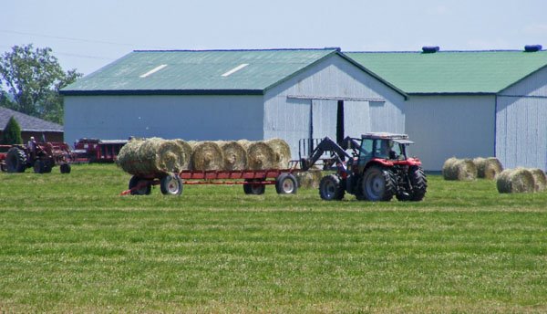 Loading the hay by irenesteeves