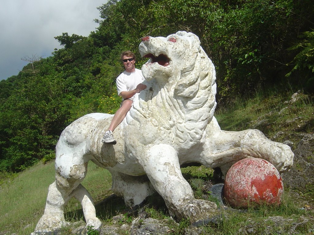 Ride the Lion, Gun Hill Barbados by sean donahue