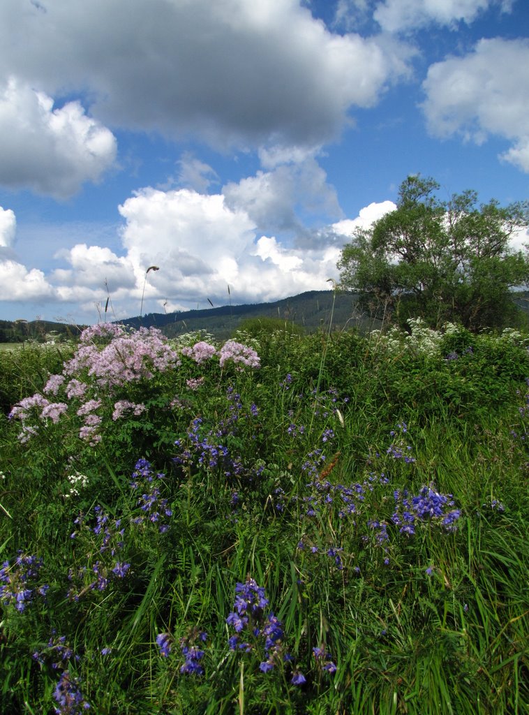 Blossoms in the wind by Viktor Herman