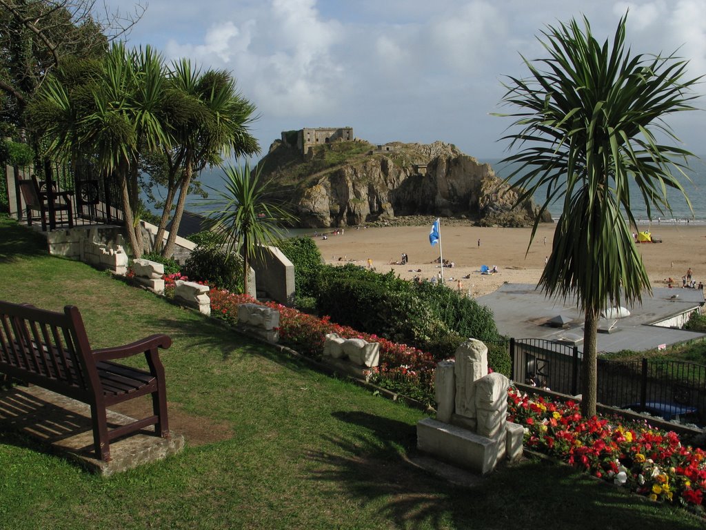 Castle Hill, Tenby by Blauauge