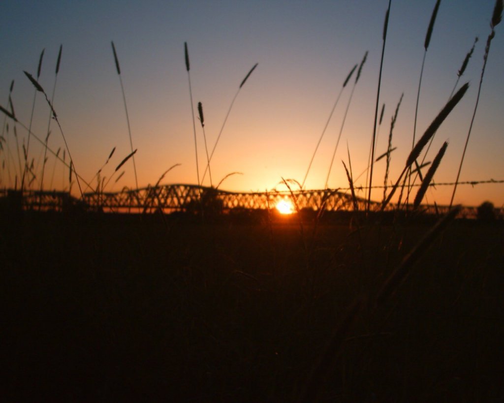 Hedelse Brug by Dionysius