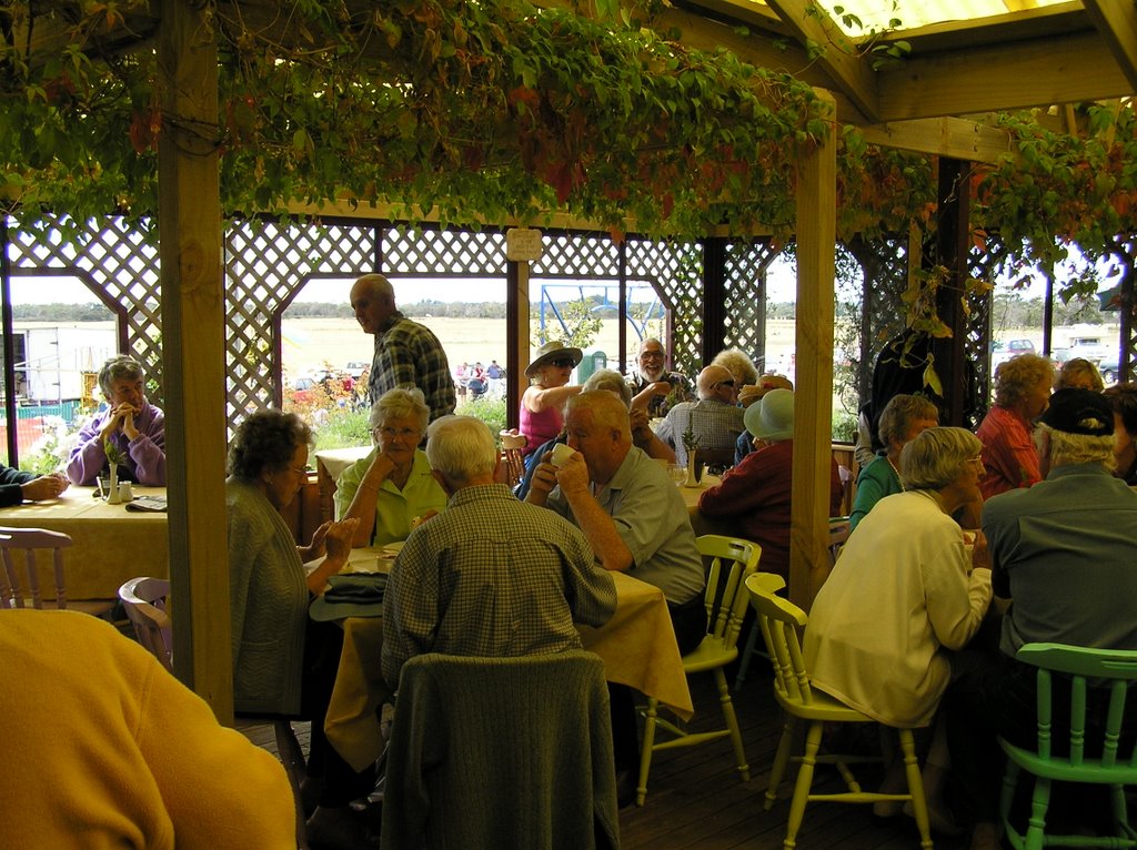 The Flying Teapot Cafe, near Bridport by The Pook