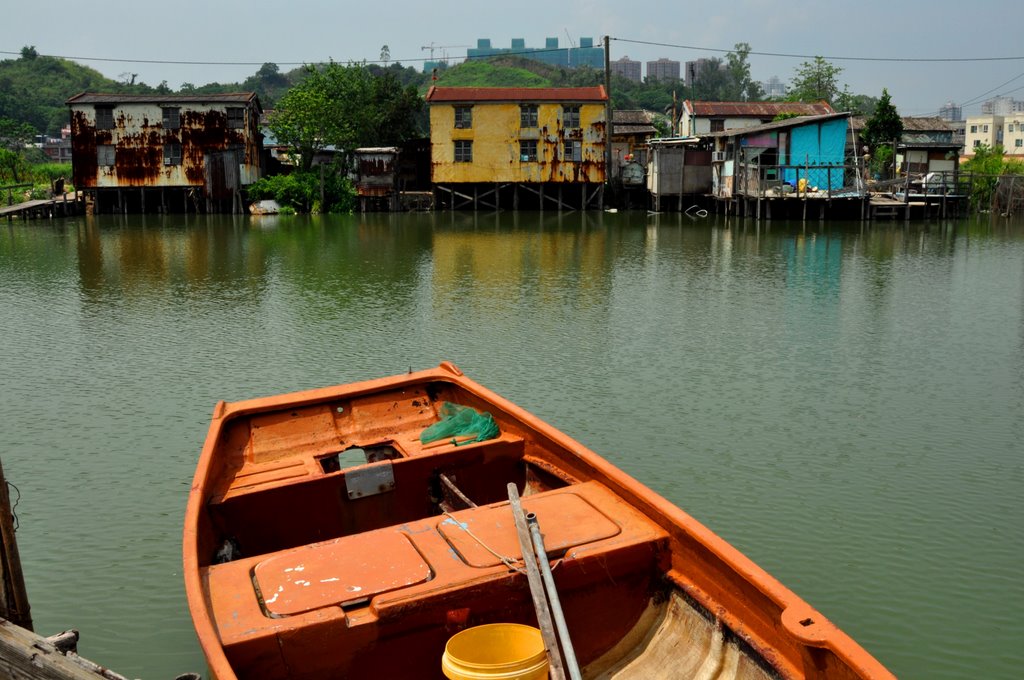 Kam Tin river section diverting into Shan Pui River (where dwelled the crocodile Pui Pui now at Wetland Park) by Janette Lee