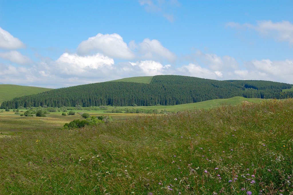 Paysage by Les Argonautes